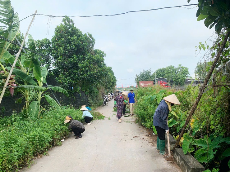 Phát huy vai trò của Hội Phụ nữ - Hội nông dân xã trong xây dựng  mô hình “Cánh đồng xanh 3 không- Ảnh 2.