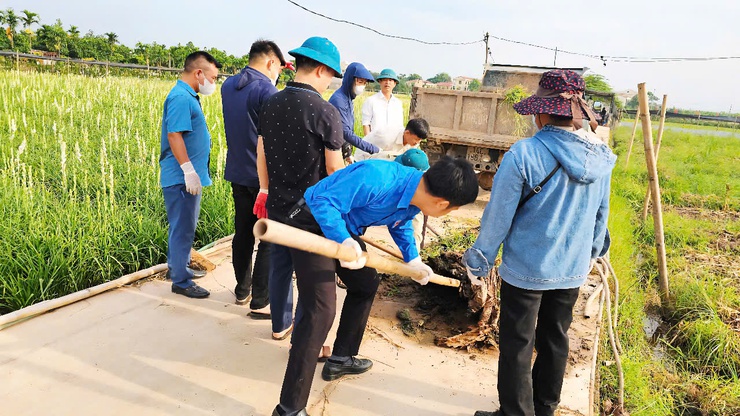 Phát huy vai trò của Hội Phụ nữ - Hội nông dân xã trong xây dựng  mô hình “Cánh đồng xanh 3 không- Ảnh 4.