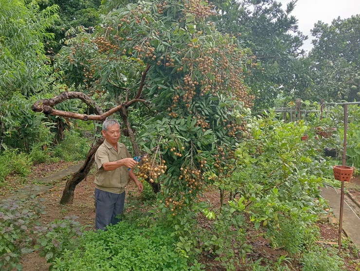 Gương thương binh, “tàn nhưng không phế”- Ảnh 1.