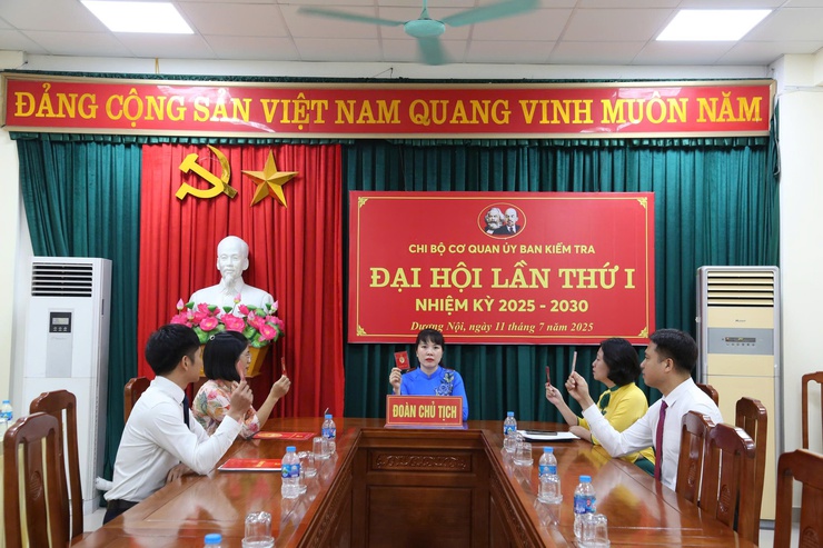 Các chi bộ mới thành lập tổ chức thành công Đại hội lần thứ Nhất, nhiệm kỳ 2025-2030- Ảnh 3.