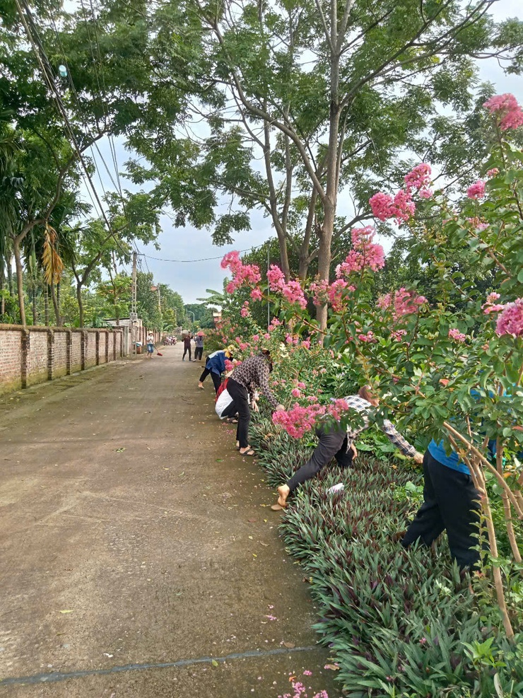 Phụ nữ xã Bất Bạt hưởng ứng phong trào xây dựng và giữu gìn thôn, xóm, ngõ Sáng - Xanh - Sạch - Đẹp và An toàn.- Ảnh 3.