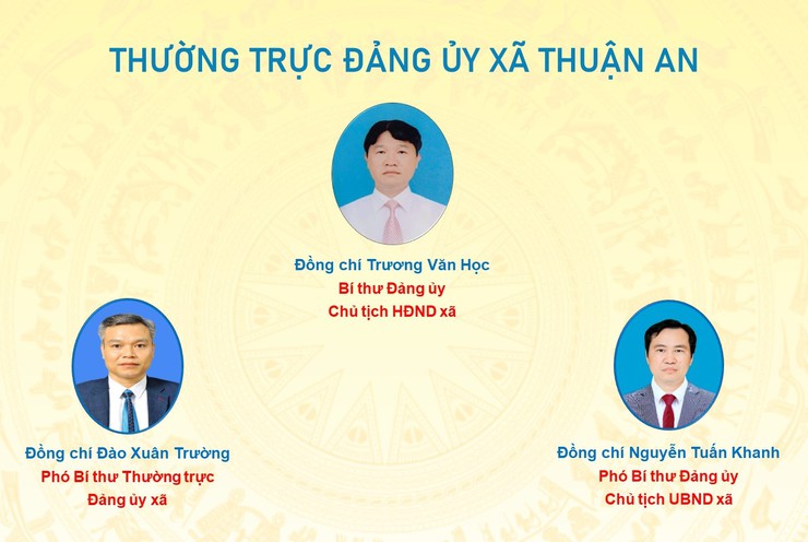 Bộ máy tổ chức của Đảng ủy - HĐND - UBND - UB MTTQ VN xã Thuận An- Ảnh 1.