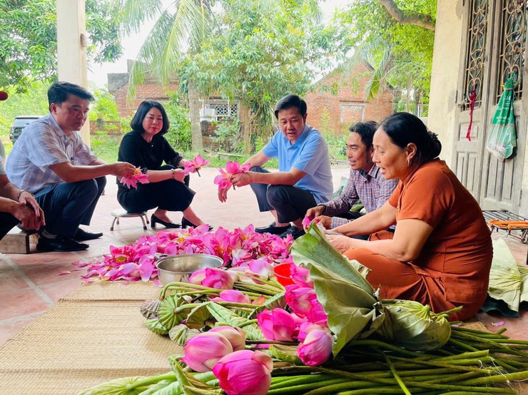 Xã Chuyên Mỹ - Hà Nội: Đa dạng hóa sản phẩm, nâng cao giá trị cho cây sen- Ảnh 3.