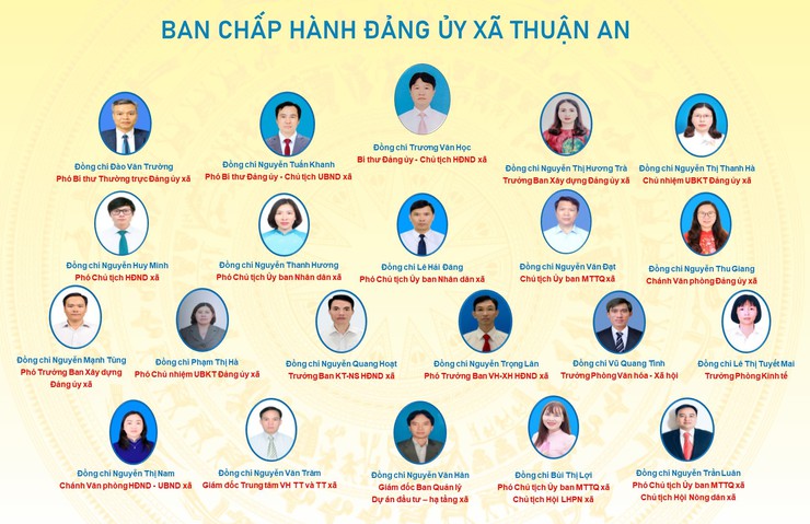 Bộ máy tổ chức của Đảng ủy - HĐND - UBND - UB MTTQ VN xã Thuận An- Ảnh 3.