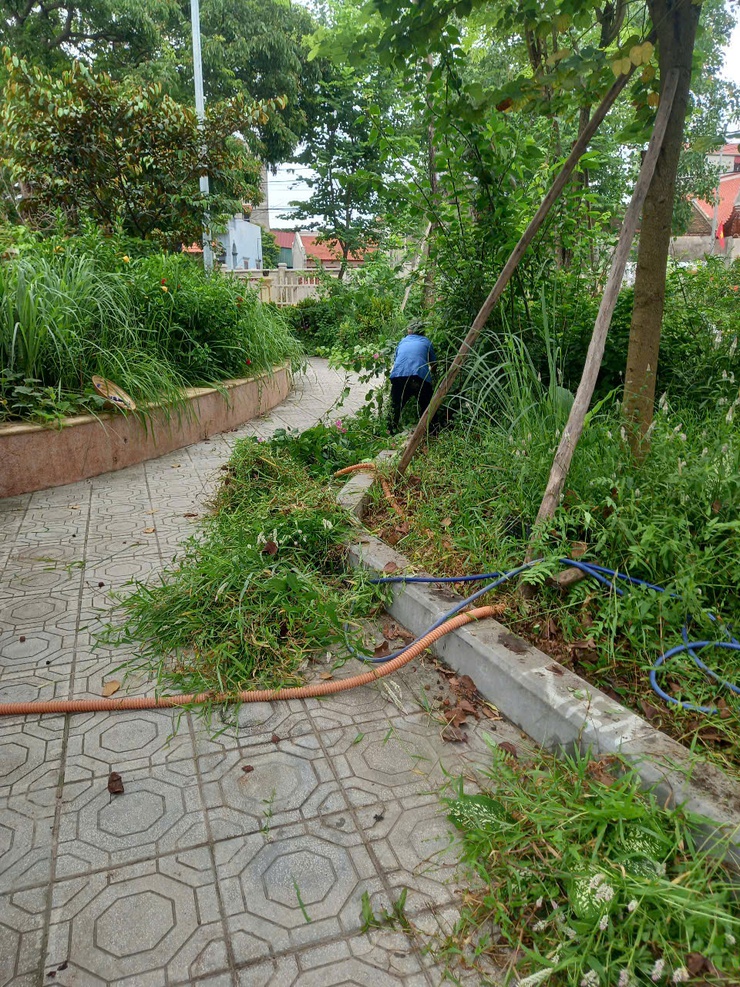 Hà Nội chỉ đạo tiếp tục kiểm soát chặt chẽ dịch bệnh mùa hè- Ảnh 3.
