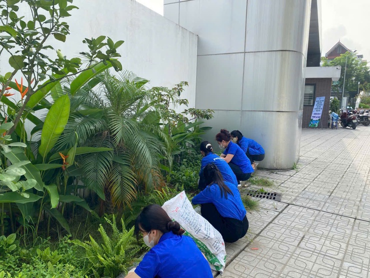 Trường tiểu học Trần Phú đồng loạt ra quân hưởng ứng phong trào "sáng - xanh - sạch - đẹp"- Ảnh 2.