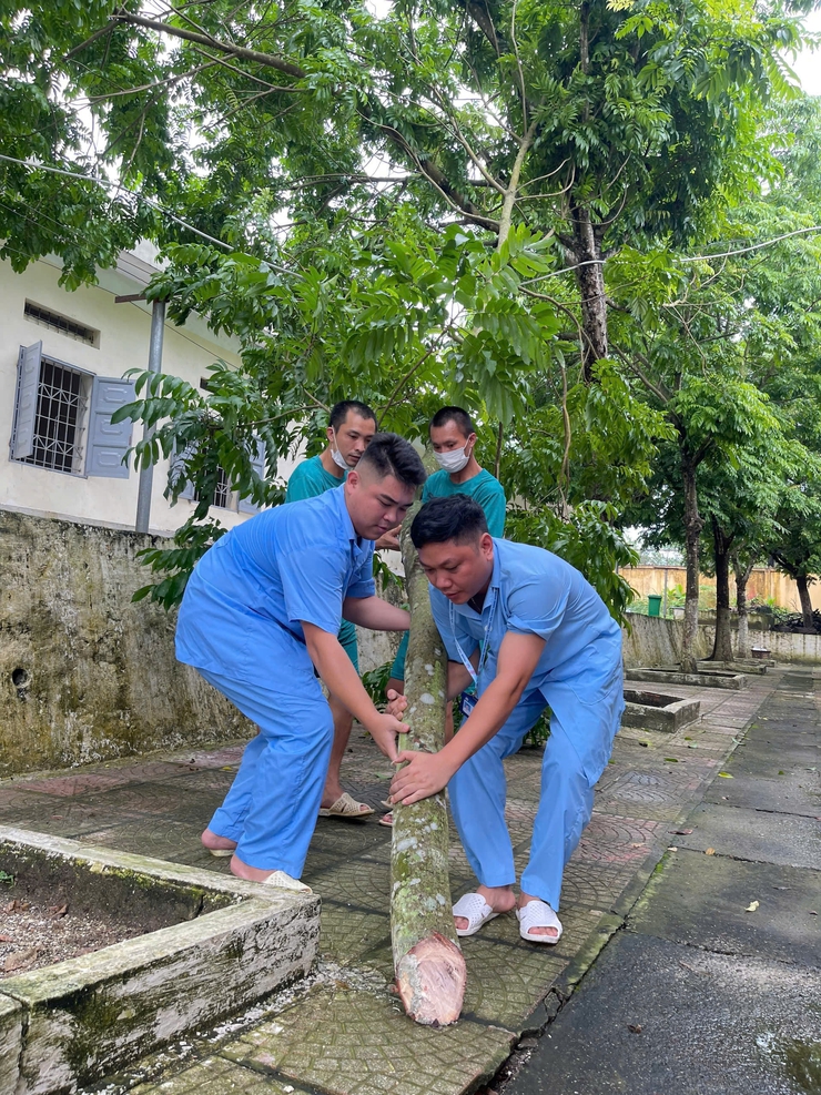 Chủ động phòng chống bão lụt – sẵn sàng ứng phó với thiên tai- Ảnh 1.
