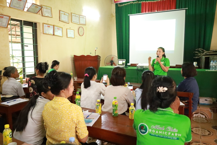 Biến xã đảo Minh Châu thành “điểm xanh” nhờ một người phụ nữ dám nghĩ, dám làm- Ảnh 1.