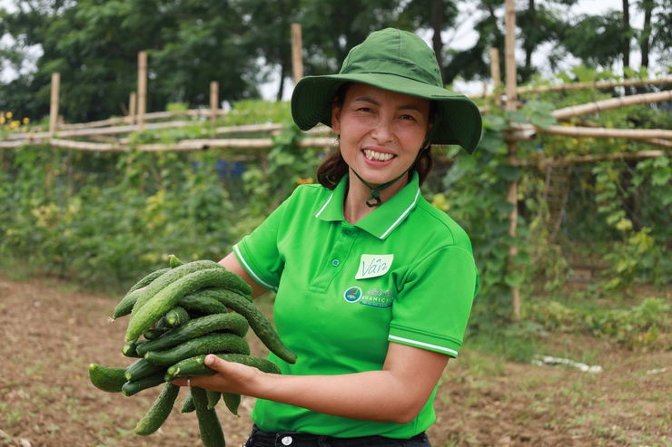 Biến xã đảo Minh Châu thành “điểm xanh” nhờ một người phụ nữ dám nghĩ, dám làm- Ảnh 7.