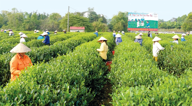 Danh mục thủ tục hành chính và quy trình nội bộ giải quyết thủ tục hành chính thuộc thẩm quyền UBND cấp xã trong các lĩnh vực: Hộ kinh doanh; tổ hợp tác; hợp tác xã, liên hiệp hợp tác xã- Ảnh 1.