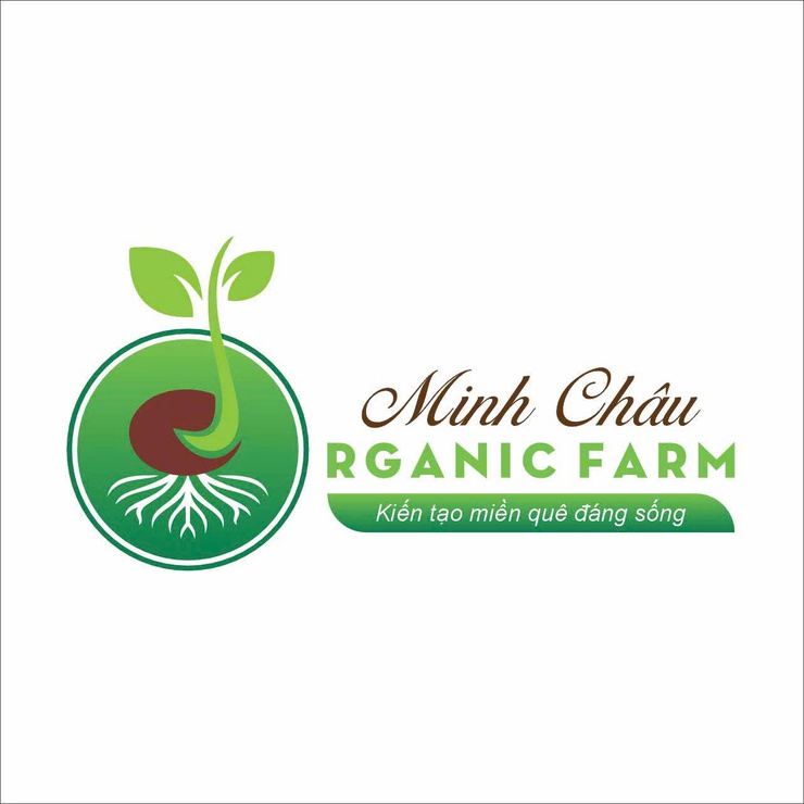 Biến xã đảo Minh Châu thành “điểm xanh” nhờ một người phụ nữ dám nghĩ, dám làm- Ảnh 2.