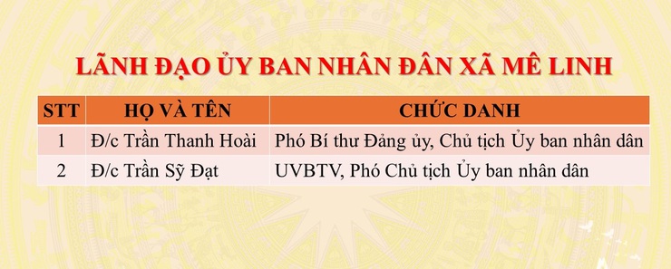 Giới thiệu bộ máy tổ chức của xã Mê Linh- Ảnh 5.