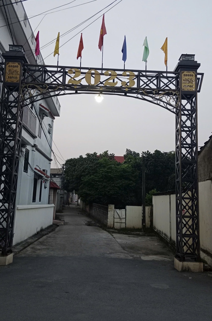 Gương: Phó Bí thư Chi bộ, Trưởng thôn Phúc Trạch xã Phúc Lộc nhiệt tình trong công việc- Ảnh 4.