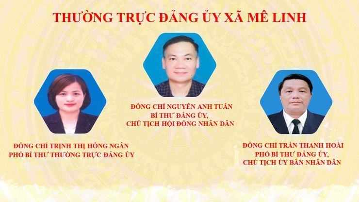 Giới thiệu bộ máy tổ chức của xã Mê Linh- Ảnh 1.