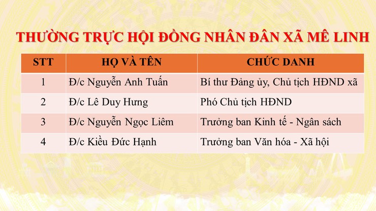 Giới thiệu bộ máy tổ chức của xã Mê Linh- Ảnh 4.