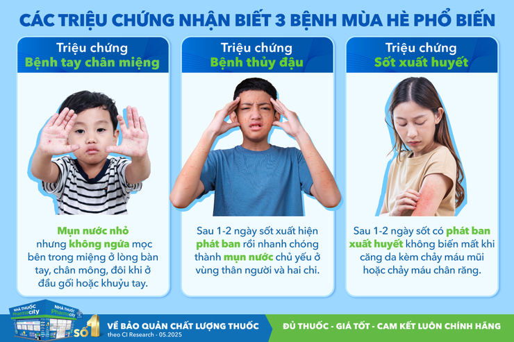 Ủy ban nhân dân xã Phú Nghĩa chỉ đạo tăng cường công tác phòng, chống dịch bệnh trong mùa hè- Ảnh 1.