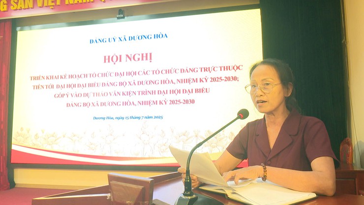 Đảng uỷ xã Dương Hoà công bố Quyết định thành lập, nâng cấp các tổ chức cơ sở Đảng và triển khai một số nhiệm vụ trọng tâm- Ảnh 9.