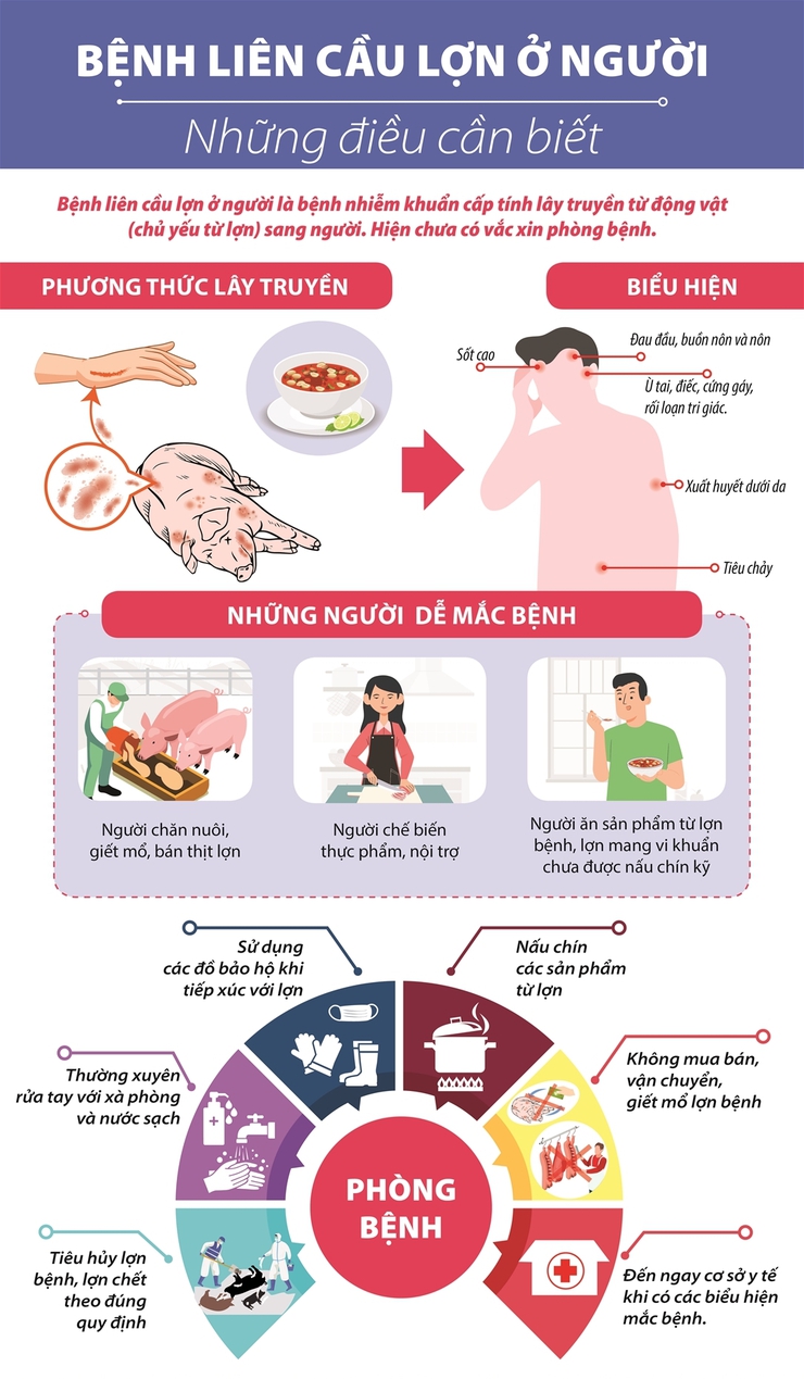 TUYÊN TRUYỀN BỆNH LIÊN CẦU LỢN LÂY CHO NGƯỜI VÀ CÁC BIỆN PHÁP PHÒNG TRÁNH
- Ảnh 1.