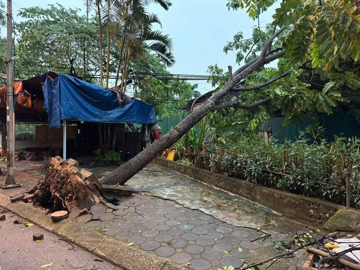 Tình hình  thiệt hại, ảnh hưởng bởi trận giông lốc trên địa bàn phường Hà Đông- Ảnh 4.