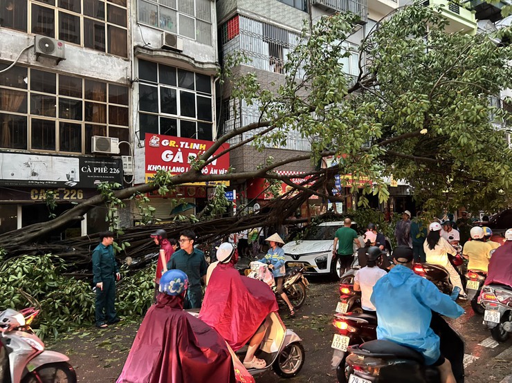 Phường Ngọc Hà khẩn trương khắc phục hậu quả sau cơn giông lốc mạnh chiều 19/7- Ảnh 1.
