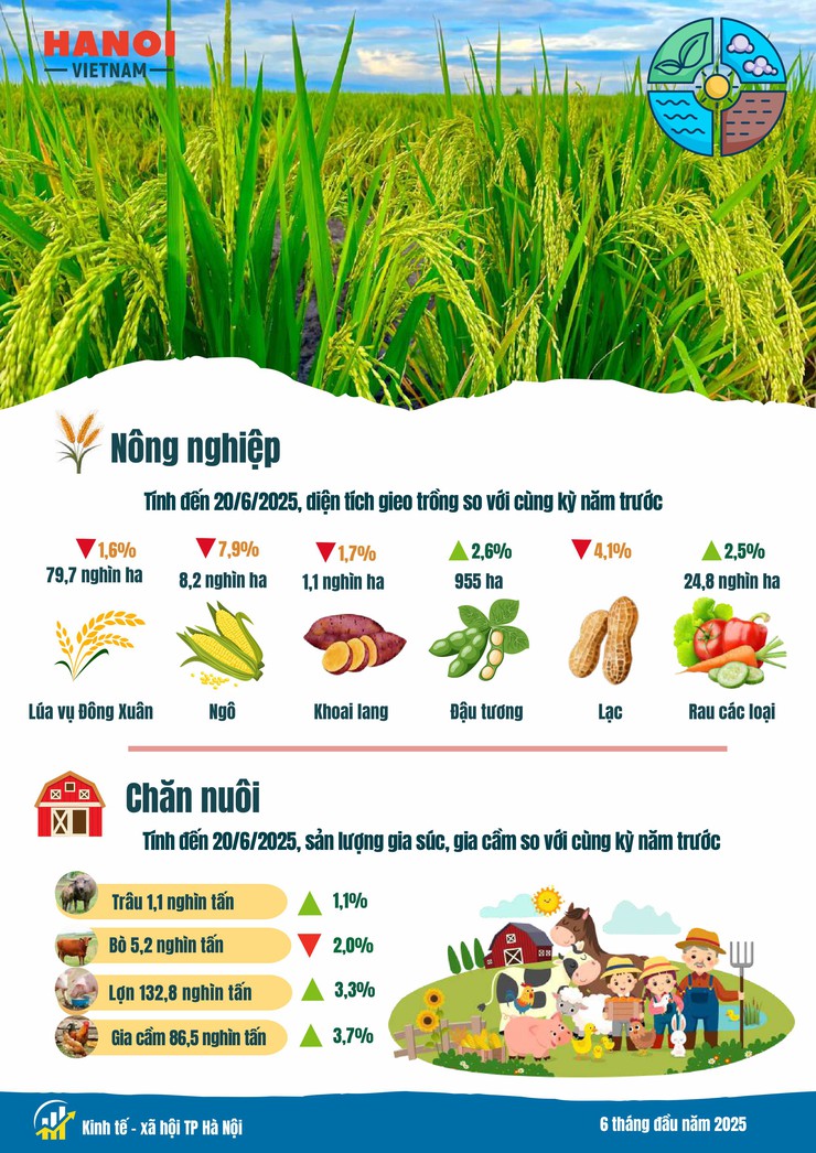 Kinh tế - xã hội Hà Nội 6 tháng đầu năm 2025: Phát triển tích cực trên nhiều lĩnh vực- Ảnh 4.