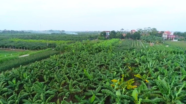 PHÚC LỘC - MIỀN ĐẤT MỚI, SỨ MỆNH MỚI- Ảnh 1.