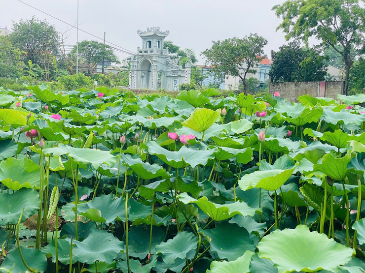 Xã Ứng Thiên tổ chức hội nghị UBND đầu tiên theo mô hình chính quyền địa phương hai cấp- Ảnh 3.