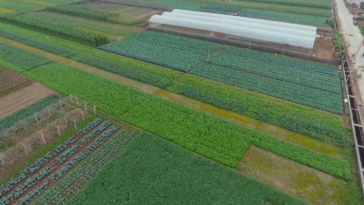 PHÚC LỘC - MIỀN ĐẤT MỚI, SỨ MỆNH MỚI- Ảnh 5.