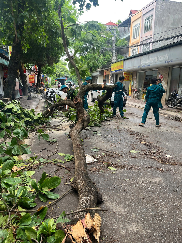 PHƯỜNG ĐÔNG NGẠC XỬ LÝ KỊP THỜI CÂY GÃY ĐỔ DO GIÔNG LỐC- Ảnh 9.