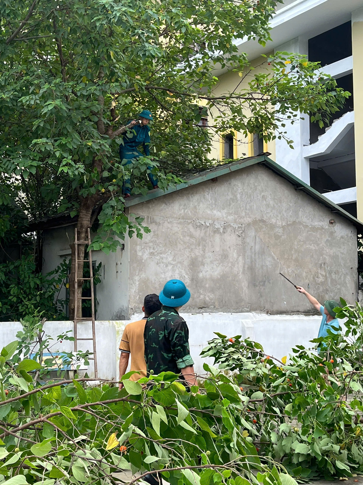 PHƯỜNG ĐÔNG NGẠC XỬ LÝ KỊP THỜI CÂY GÃY ĐỔ DO GIÔNG LỐC- Ảnh 2.