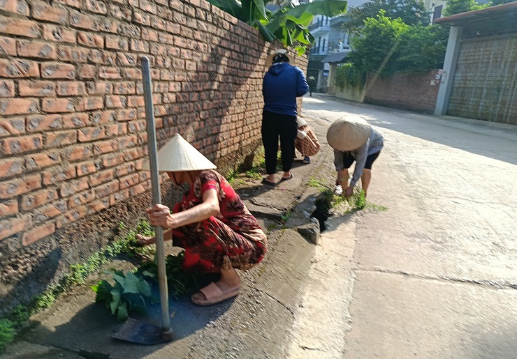 Thôn 4 xã Hòa Lạc phát động tổng vệ sinh môi trường chào mừng 80 năm Cách mạng Tháng Tám và Quốc khánh 2/9- Ảnh 5.
