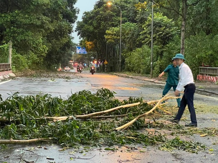 Hòa Lạc kích hoạt phương châm “4 tại chỗ” ứng phó bão số 3- Ảnh 2.