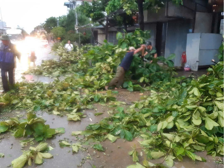 Ra quân "Ngày cuối tuần xanh" hưởng ứng kỷ niệm 78 năm ngày thương binh - liệt sĩ và chào mừng đại hội Đảng bộ xã Ứng Thiên lần thứ I, nhiệm kỳ 2025-2030- Ảnh 5.