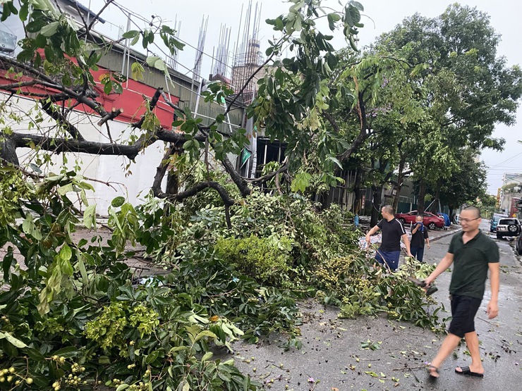 Phường Long Biên chủ động ứng phó với cơn bão số 3, đảm bảo an toàn cho nhân dân- Ảnh 4.