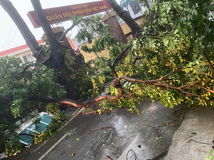Phường Long Biên chủ động ứng phó với cơn bão số 3, đảm bảo an toàn cho nhân dân- Ảnh 7.