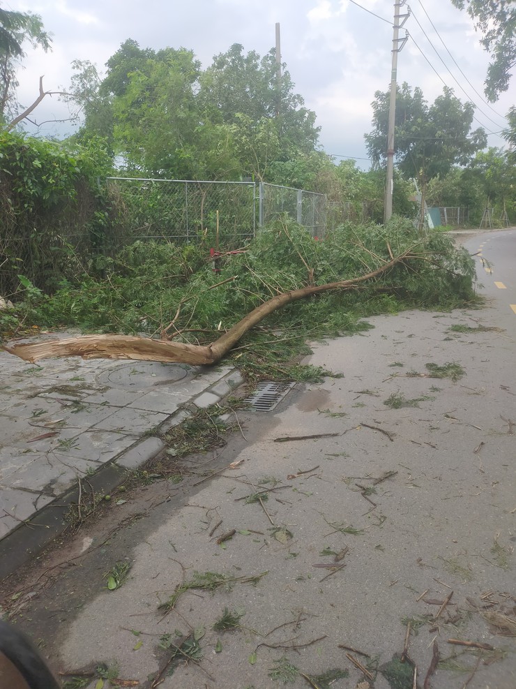 Phường Long Biên chủ động ứng phó với cơn bão số 3, đảm bảo an toàn cho nhân dân- Ảnh 8.
