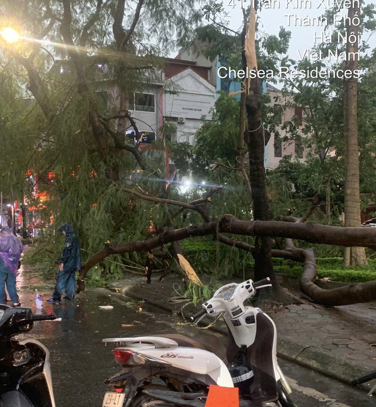 Chủ động khắc phục hậu quả và triển khai ứng phó với cơn bão số 3 (bão WIPHA) trên địa bàn phường Yên Hòa- Ảnh 3.