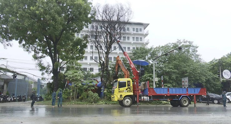Xã Hoà Lạc triển khai cắt tỉa cây xanh, gia cố cọc chống và thay thế cây chết nhằm đảm bảo an toàn mùa mưa bão 2025- Ảnh 2.