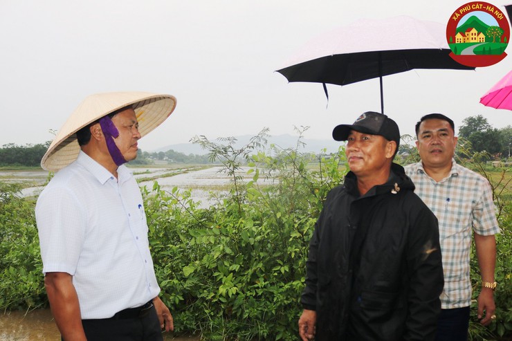 Lãnh đạo Sở Nông nghiệp và Môi trường kiểm tra công tác phòng, chống lụt bão trên địa bàn xã Phú Cát- Ảnh 4.