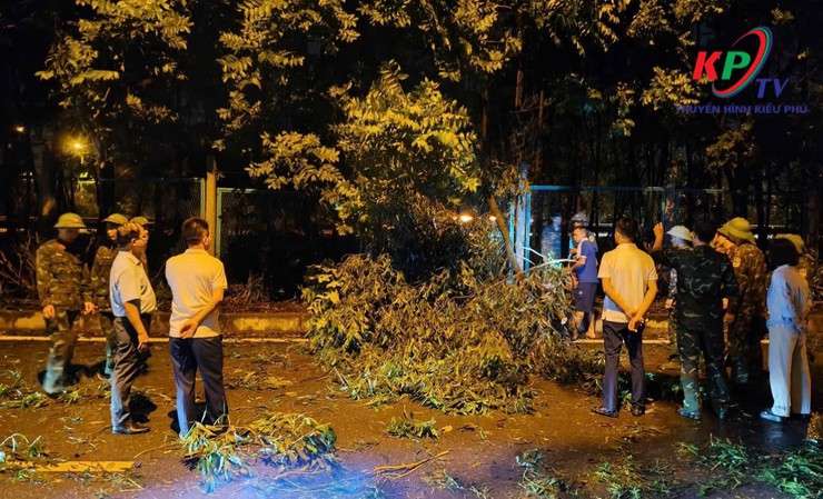 Lãnh đạo xã Kiều Phú kiểm tra xử lý nhiều cây xanh bị đổ, gãy do ảnh hưởng của trận Giông, lốc trên địa bàn xã- Ảnh 3.