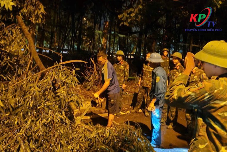 Lãnh đạo xã Kiều Phú kiểm tra xử lý nhiều cây xanh bị đổ, gãy do ảnh hưởng của trận Giông, lốc trên địa bàn xã- Ảnh 2.