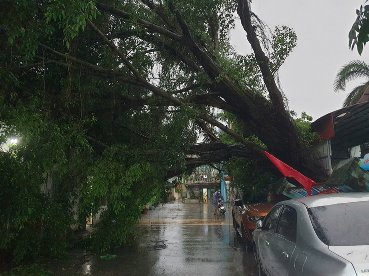 Hà Nội chỉ đạo ứng phó bão số 3 Wipha, không để người dân đi vào vùng nguy hiểm- Ảnh 1.