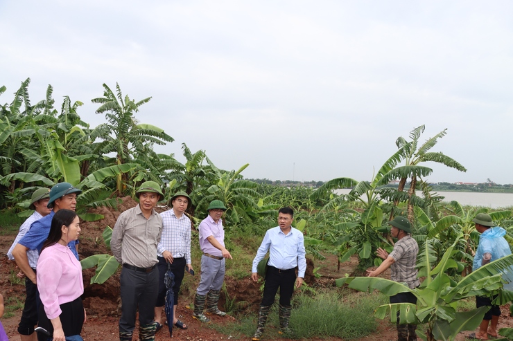 XÃ PHÚ XUYÊN CHỦ ĐỘNG ỨNG PHÓ BÃO SỐ 3- Ảnh 2.