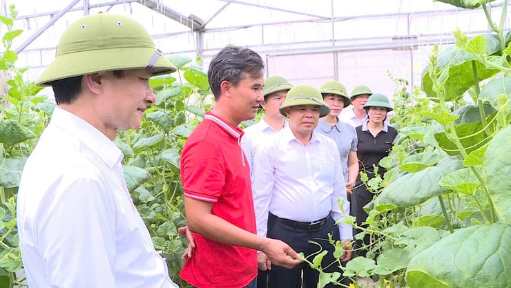 Các đồng chí lãnh đạo xã Phúc Thọ khảo sát thực tế một số mô hình sản xuất nông nghiệp chất lượng cao trên địa bàn- Ảnh 2.