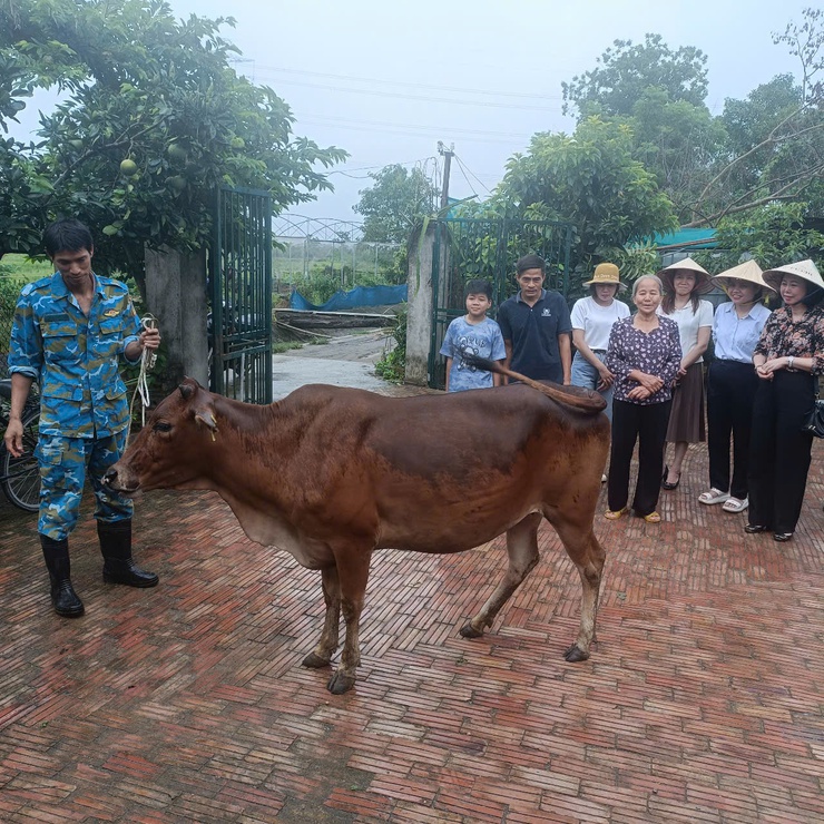 Trung tâm Khuyến nông thành phố Hà Nội tổ chức chương trình trao tặng bò cái giống sinh sản tại xã Bình Minh- Ảnh 2.