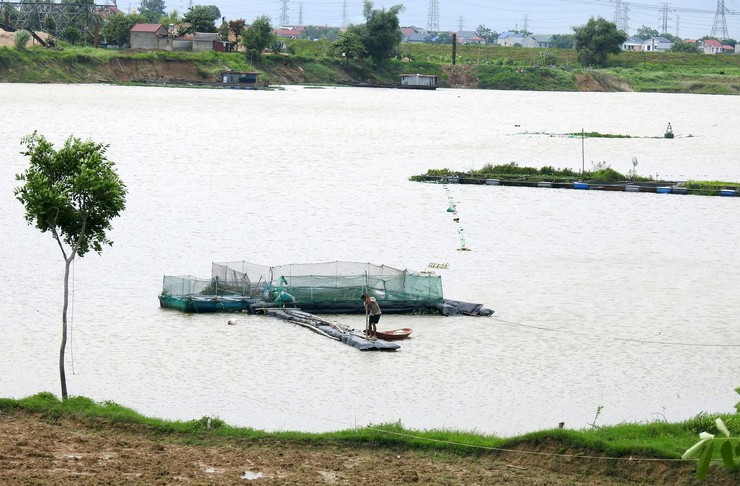 ỨNG PHÓ VỚI CƠN BÃO SỐ 3: XÃ TRUNG GIÃ QUÁN TRIỆT PHƯƠNG CHÂM "4 TẠI CHỖ, 3 SẴN SÀNG"- Ảnh 3.