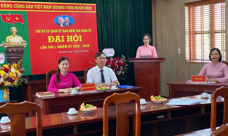 Đảng bộ các cơ quan Đảng chỉ đạo Đại hội các Chi bộ trực thuộc nhiệm kỳ 2025-2030- Ảnh 7.