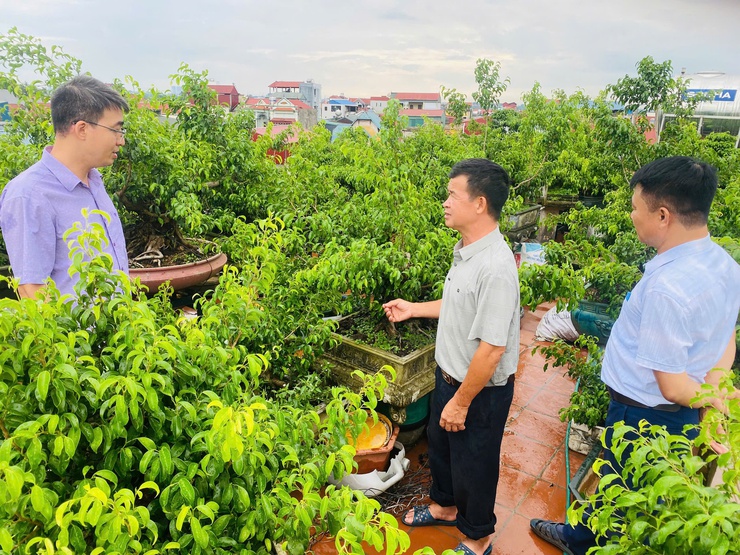HỘI NÔNG DÂN XÃ THƯ LÂM ĐỊNH HƯỚNG CHO HỘI VIÊN PHÁT TRIỂN NÔNG NGHIỆP THEO HƯỚNG ĐÔ THỊ- Ảnh 1.
