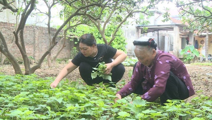 Phúc Lộc – Tự hào những Bà Mẹ Việt Nam anh hùng- Ảnh 4.