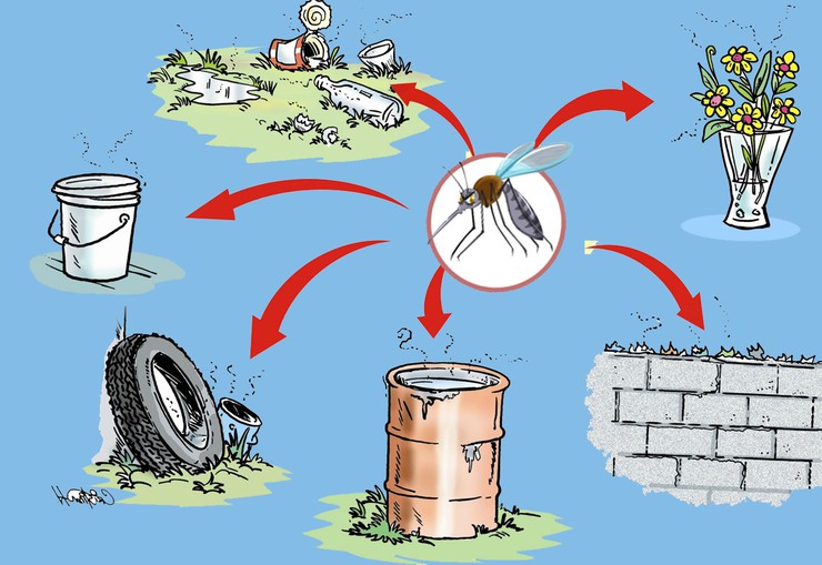 Bài tuyên truyền phòng chống dịch, bệnh sốt xuất huyết năm 2025- Ảnh 10.